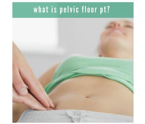 PELVIC FLOOR