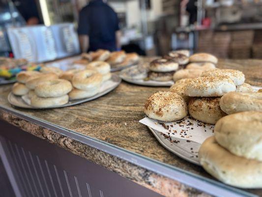 Variety of bagels  yum!