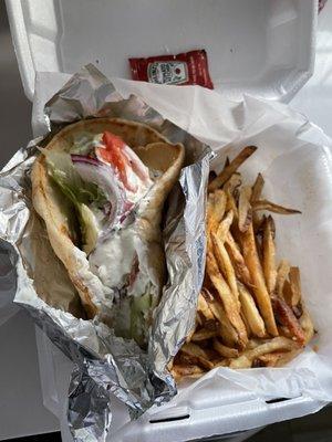 Falafel wrap and fries