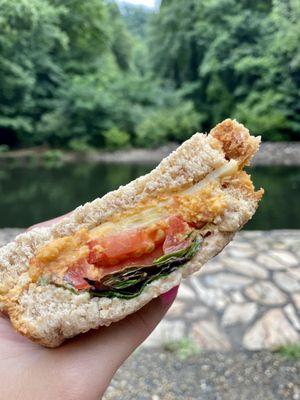 Veggie sandwich packed out & eaten at the trout pond