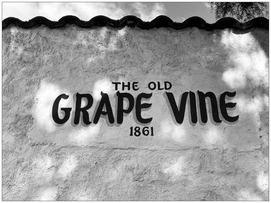 Grape Vine.