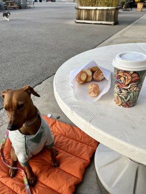 Fresh & fluffy donuts