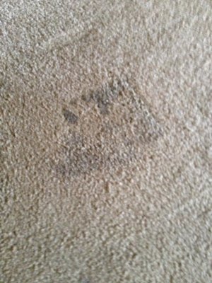 Carpet before cleaning