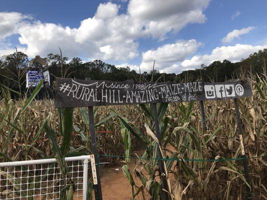 Signs in the maze