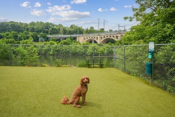 The Isle's Riverside Bark Park