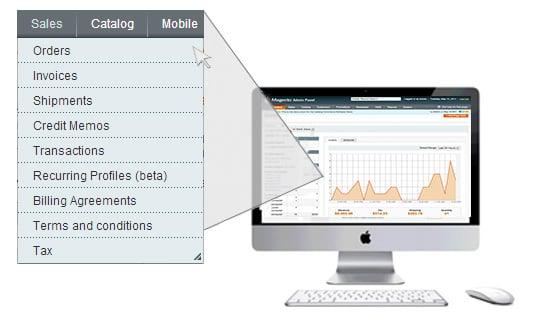 The ecommerce management system allows website owners to view reports on sales performance, products and website statistics.