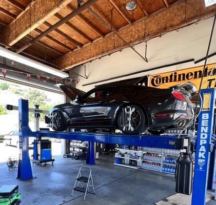 Installed adjustable camber plates and Aligned this beautiful Mustang Mach 1