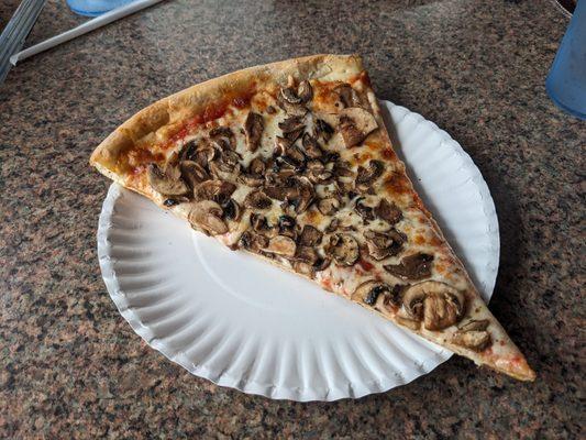 Mushroom pizza