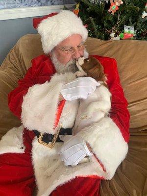 Dr. Keadle as Santa for our Annual Pet Pictures with Santa every December!