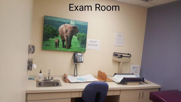 All of our rooms are set up similarly.  We identify each room not only by number but also by the animal in the picture in each room.