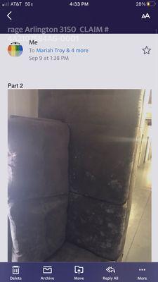 Mold on couch