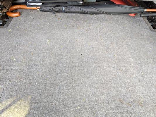 Carpet of hatch area that never met the vacuum, enlarge to see grass, leaves and soil