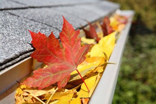 G2 Roofing and Construction offers FREE ROOF INSPECTIONS.  Fall is a great time to have G2 come out and inspect your roof system & gutters.