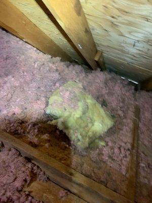 Old attic insulation