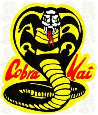 COBRA KAI KARATE