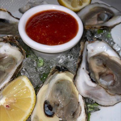 Oysters