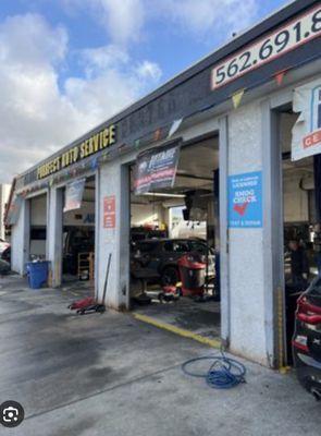 Performance Auto Express