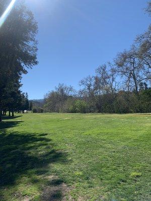 Lovely day for golf