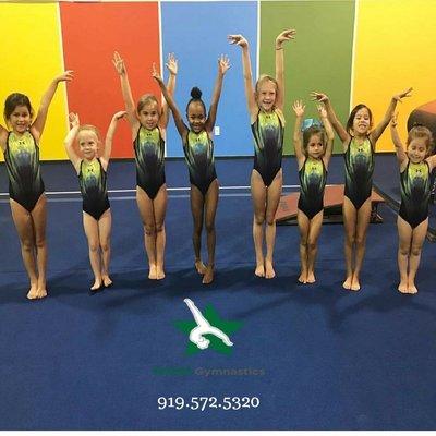 Wake Gymnastics Inc