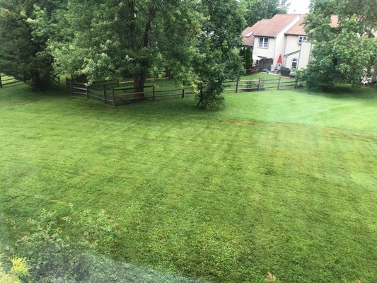 Red Oak Landscaping & Lawn Maintenance