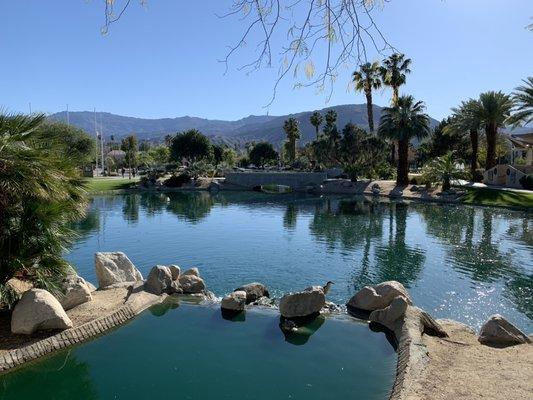 Palm Desert Civic Center Park