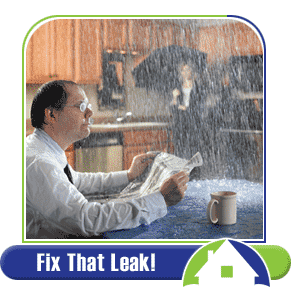 We fix all kinds of leaks!