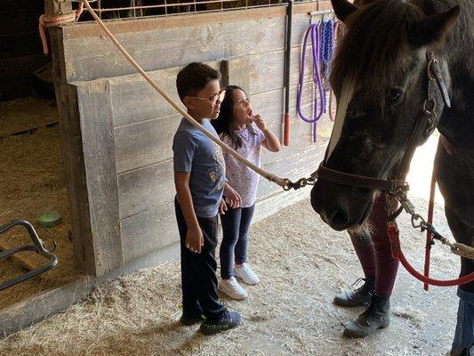 Grandkids first experience with horses