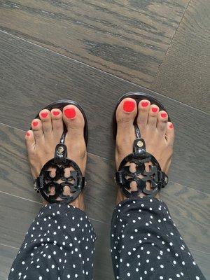 A beautiful set of pedicured toes!