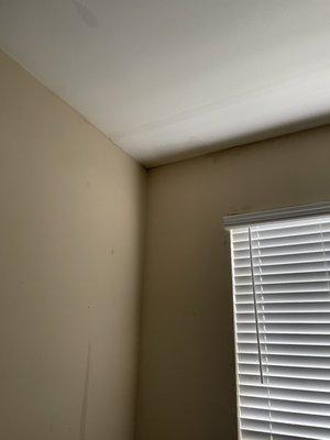 The ceiling leaking from multiple places in my Game room (3rd bedroom). Walls also leaking.