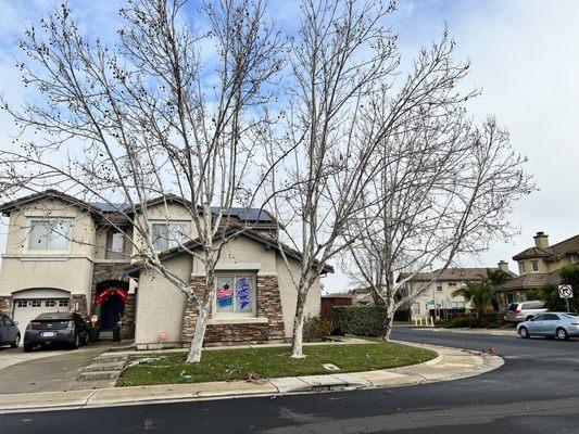 Superior Tree Service And Stump Grinding