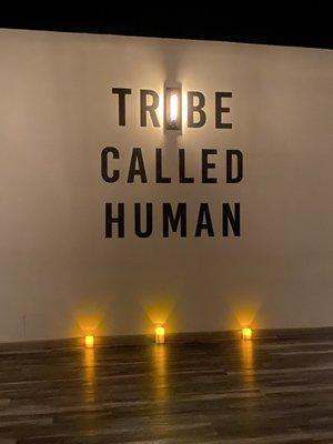 One Tribe Yoga and Wellness