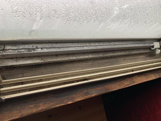 Damaged windowsill - moist and moldy