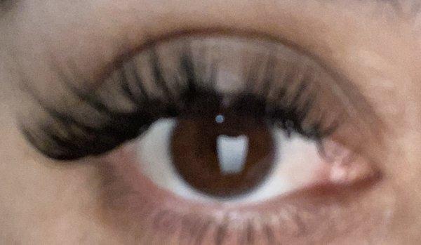 C curl doll eye lash extension day 3