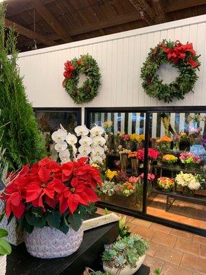 It's Holiday Season at Anthony's Flowers!