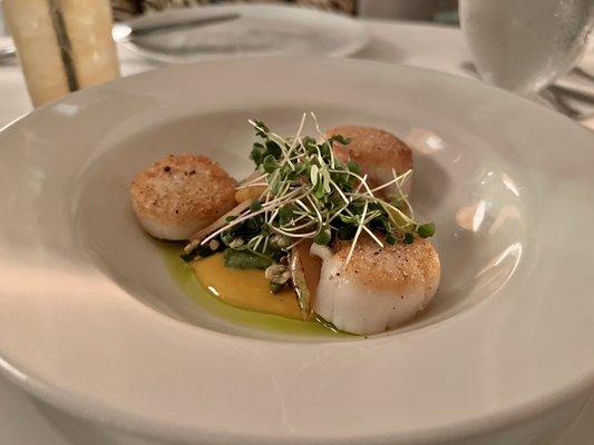 Scallops