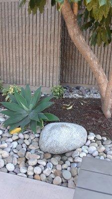 Scenery in the outside waiting area.