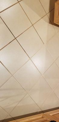 Tile & Grout Cleaning