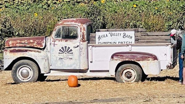 Cool, old truck in yard