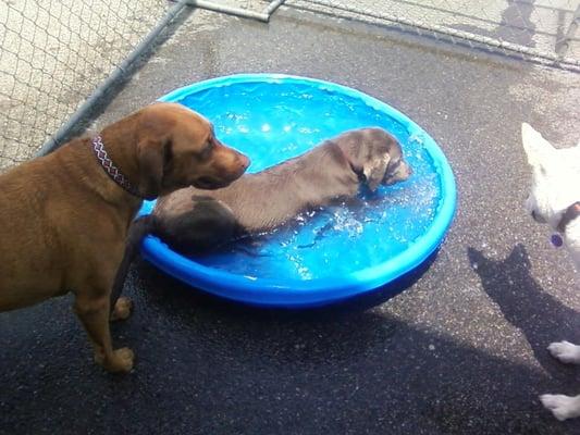 Swim fun