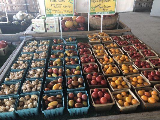 So many type of tiny tomatoes including ground cherries on the left.