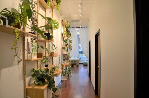 Hallway with Plant wall