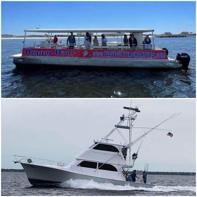 Dolphin cruises and Deep sea fishing