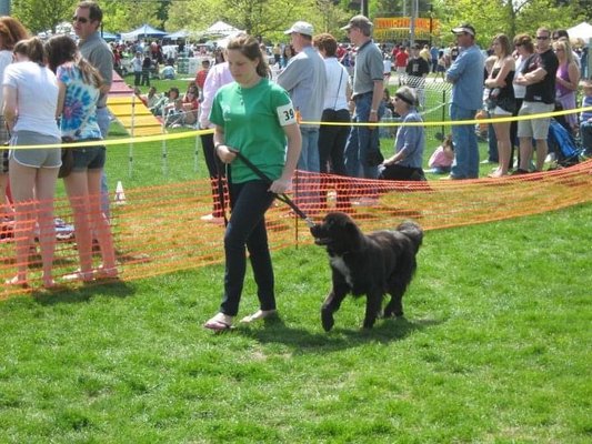 Koda training with one of my 4H kids