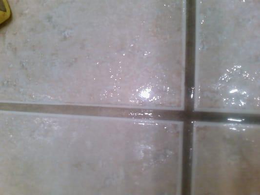 Beautiful Tile and Grout Cleaning Results