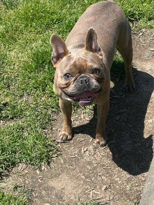 Nick at the park