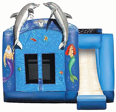 4 in 1 Under The Sea
Combo Rental