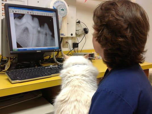 Denise and Zing reviewing our digital dental radiographs.