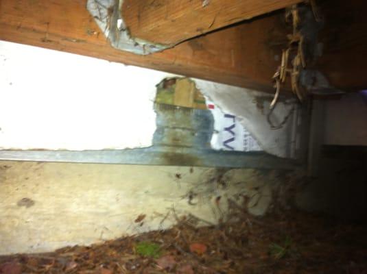 rodent entry hole to crawlspace underneath deck