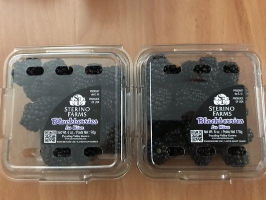 Blackberries