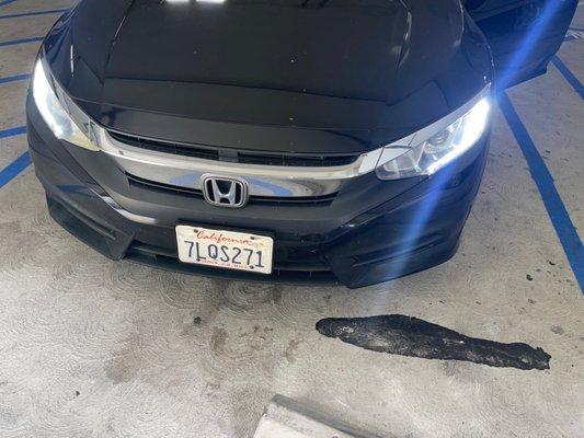 Repaired front bumper